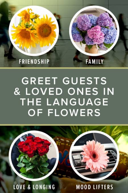 Greet guests & loved ones in the language of flowers
